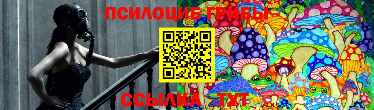 Юрга  Псилоцибиновые грибы Psilocybine cubensis  Вход с VPN 